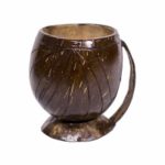 Aurora Cup