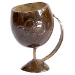 Jacquemontia Cup